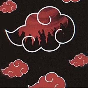 Meet your Posher, Markis